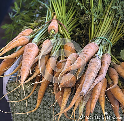 Baby Carrots at Farmers Market Stock Photo