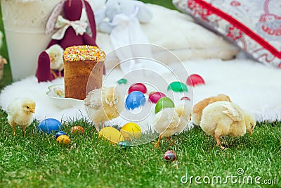 Baby chicken and ester eggs in the grass Stock Photo