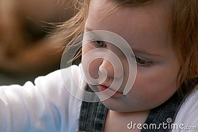 Baby concentrating Stock Photo
