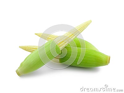 baby corn Stock Photo