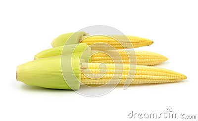 Baby corn isolated Stock Photo