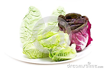 Baby Cos, Radicchio and White Cabbage. Stock Photo