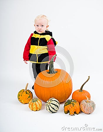 Baby in costume with pumpkins on white background Stock Photo