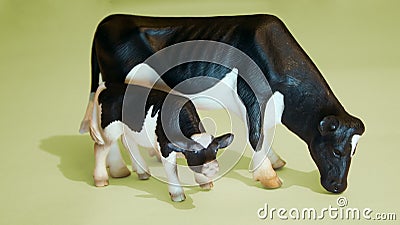 With a baby cow Stock Photo