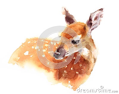 Baby Deer Watercolor Fawn Animal Illustration Hand Painted Cartoon Illustration