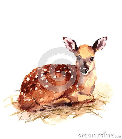 Baby Deer Watercolor Fawn Animal Illustration Hand Painted Cartoon Illustration