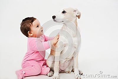 Baby and dog pet Stock Photo