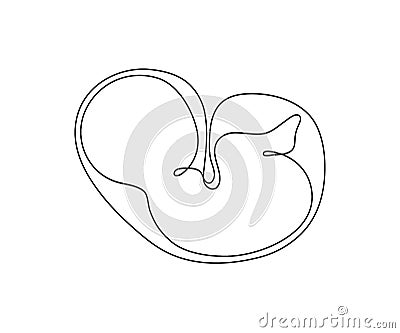 Baby embryo in womb, one art line continuous drawing. Silhouette cute unborn fetus child on mother womb in minimalism Vector Illustration