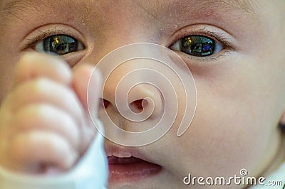 Baby Eyes Transmitting Peace And Tenderness Stock Photo