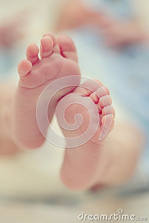 Baby feet Stock Photo