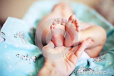 Baby feet with partial view of adult`s hand on blue blanket Stock Photo