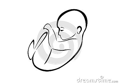 Baby fetus Stock Photo