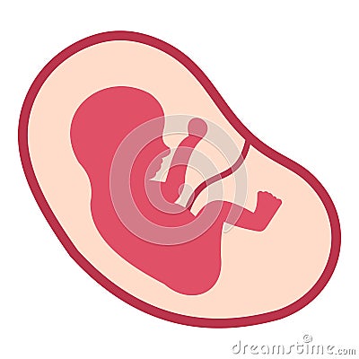 Baby fetus in the uterus icon isolated Vector Illustration