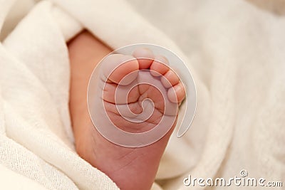 Baby Foot Stock Photo