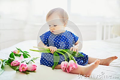 Baby girl in blue dress playing with bunch of pink tulips Stock Photo