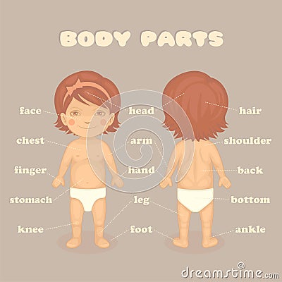Baby girl body parts Vector Illustration