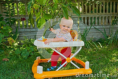 Baby in a walker,baby girl in the garden in a walker learns to walk, the first steps in a walker Stock Photo