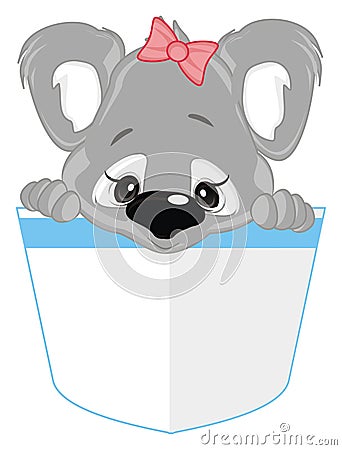 Baby girl koala Stock Photo