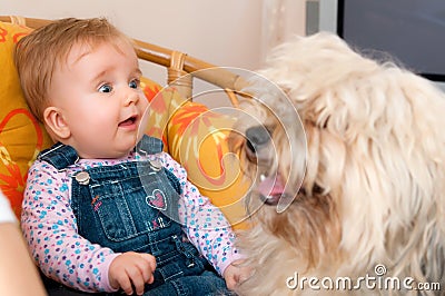 Baby girl with pet dog Stock Photo