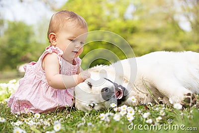 Baby Girl Sitting In Field Petting Family Dog Stock Photo