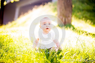 Baby girl on a sunny meadow portrait Stock Photo