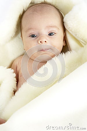 Baby Girl Wrapped In Sheepskin Stock Photo