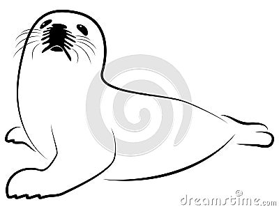 Baby Harp Seal Vector Illustration