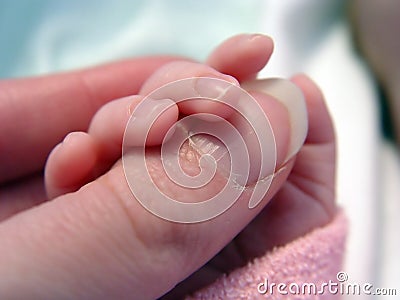 Baby Holding Thumb Stock Photo