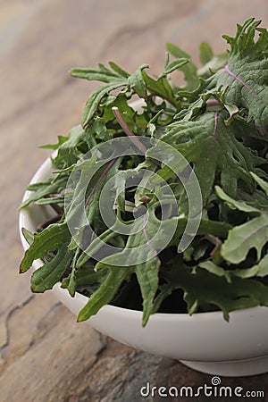 Baby kale salad leaves Stock Photo