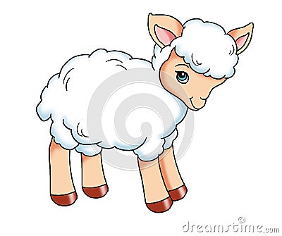 Baby lamb Cartoon Illustration