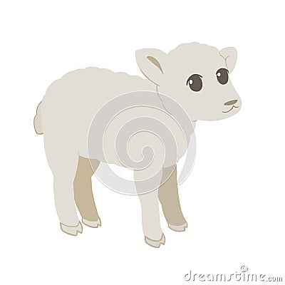 Baby lamb Stock Photo