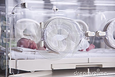 The baby lies in the incubator Stock Photo