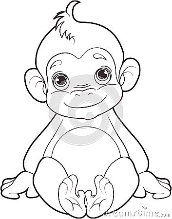 Baby monkey Vector Illustration