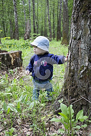 Baby 8-9 months takes the first steps in nature. A girl in the woods looks around holding onto a tree trunk. Girl in jeans and a Stock Photo