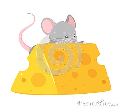 Baby mouse eating cheese flat vector illustration Vector Illustration