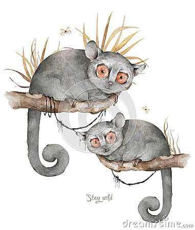 Baby Mouse lemur. Hand drawn cute watercolor cartoon mouse lemur on tree with jungle leaves on white background Stock Photo