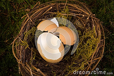 Baby nest digital backdrop Stock Photo