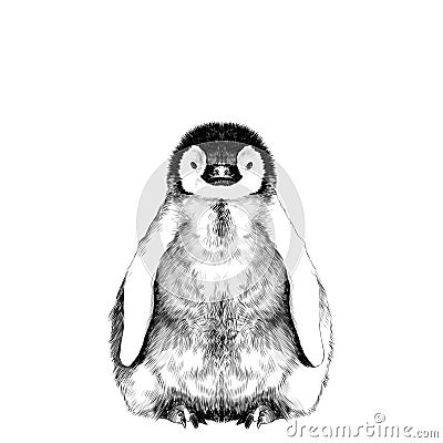 Baby penguin sketch Vector Illustration