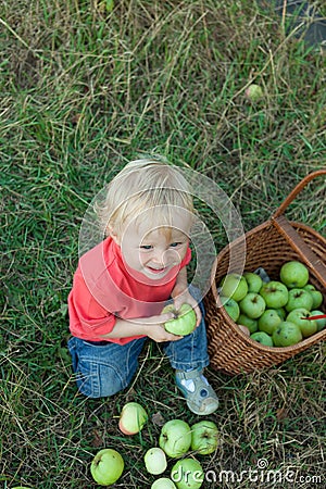 Baby picking apples Stock Photo