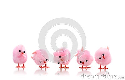 Baby Pink Bird Chicks Stock Photo