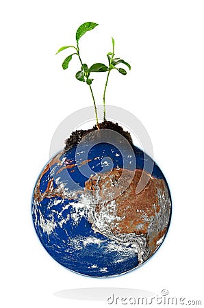 Baby plant growing from the earth Stock Photo