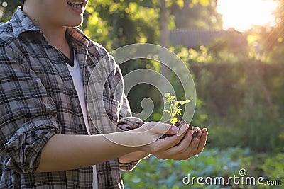 Baby plant on hand agriculture man. Stock Photo