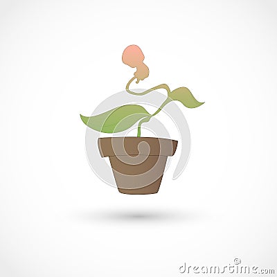 Baby plant Vector Illustration