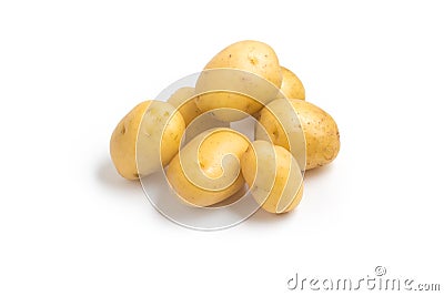 Baby Potatoes. Small Stock Photo