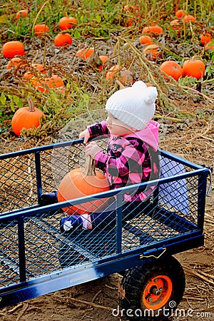 Baby riding in pumpkin patch wagon Stock Photo