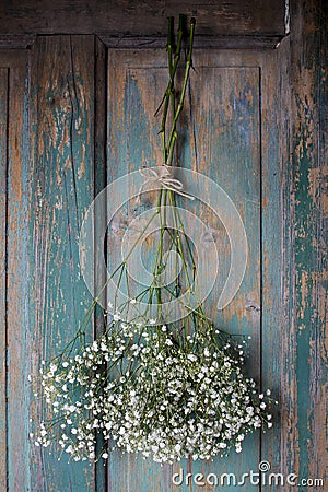 Baby's breath (gypsophilia paniculata) on wooden background Stock Photo