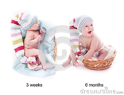 Baby's grow Stock Photo