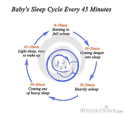 Baby`s Sleep Cycle Stock Photo
