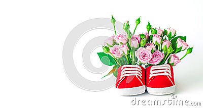 Baby shoes filled with roses flowers over white background Stock Photo