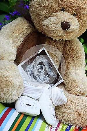 Baby shoes and teddy bear and baby ultrasound Stock Photo